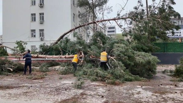 Şanlıurfa'daki Dolu Yağışı Sonrası Hızlı Müdahale Süreci