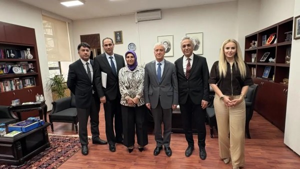 Tıp Eğitimi Üzerine Uzmanların Değerlendirmeleri: Kalite ve Çözüm Önerileri